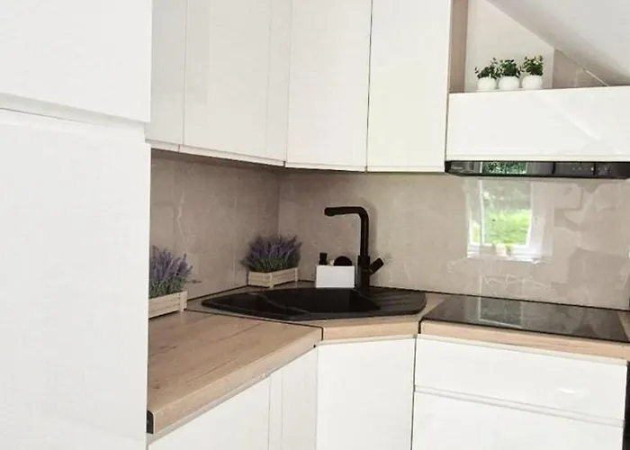 Aleklimat - Wsrod Zieleni - Obok Wyjscia Na Szlak Apartment *