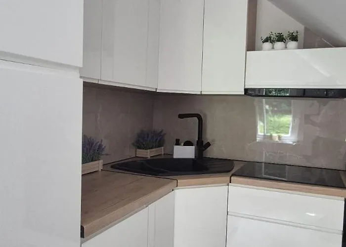 Apartment Aleklimat - Wsrod Zieleni - Obok Wyjscia Na Szlak *