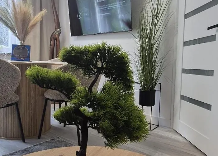 Aleklimat - Wsrod Zieleni - Obok Wyjscia Na Szlak